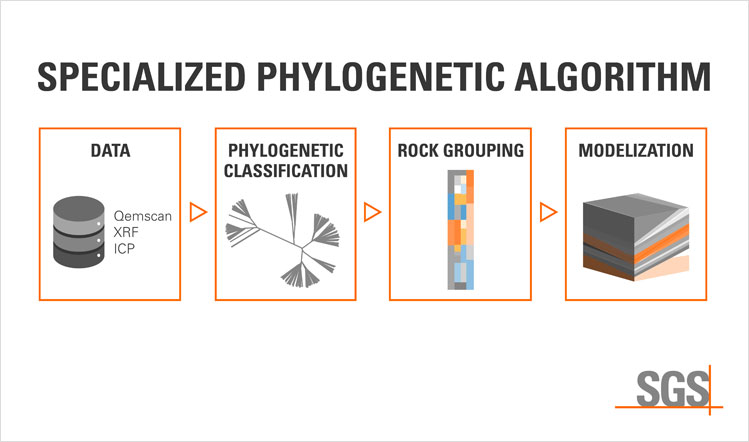 Specialized Phylogentic Algorithm
