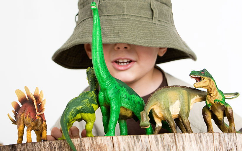 Boy Playing with Plastic Dinosaur Toys