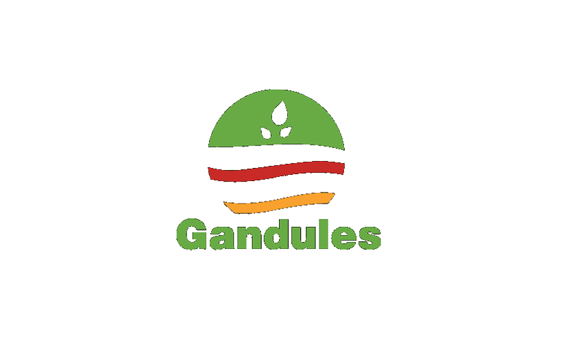 Gandules logo