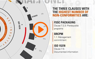 Single Audit Solutions for Packaging Industry video thumbnail