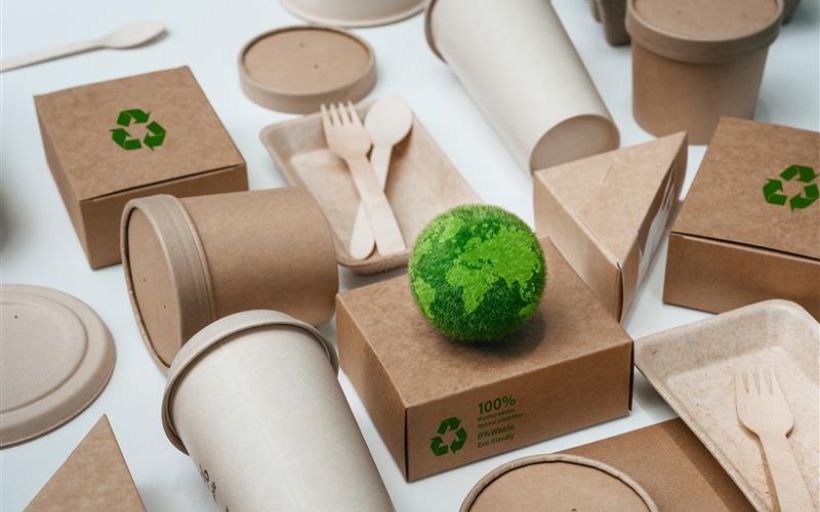 Eco friendly paper tableware and packaging made from biodegradable materials