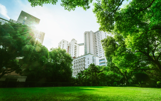 Garden and Buildings