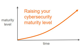Security Maturity Level Graph