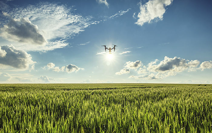  Drone over field